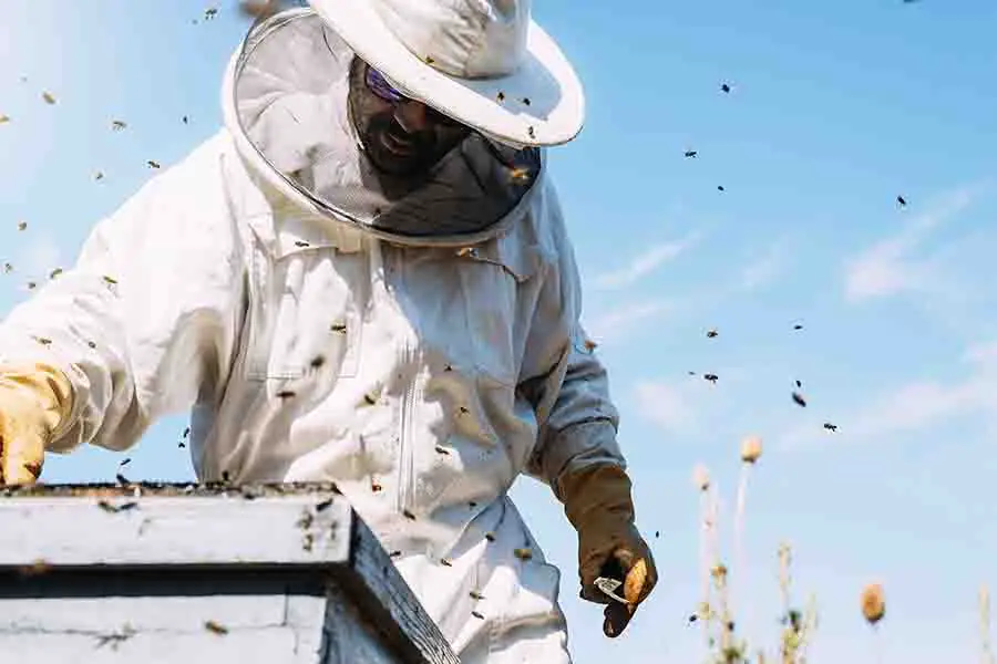 apicultor-usando-equipo-de-proteccion