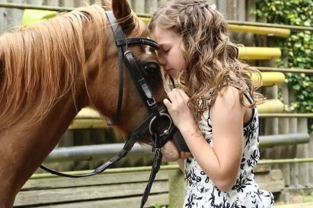 una niña abrazando a un caballo
