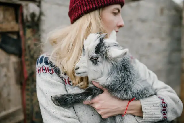 una dama cargando una pequeña cabra