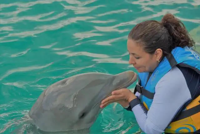 mujer acariciando a un delfín en el agua