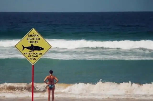 señal de alerta de tiburón