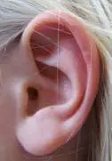 un oído humano