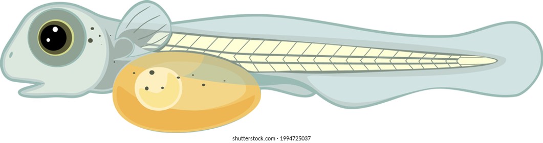 Imágenes, fotos de stock y vectores sobre Larva de pez |  Shutterstock