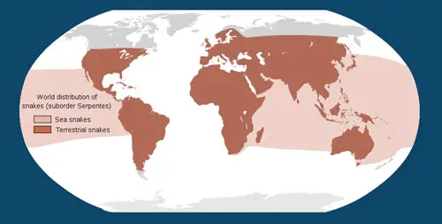 Distribución mundial de serpientes