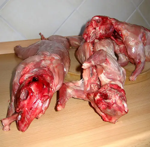 Carne de conejo
