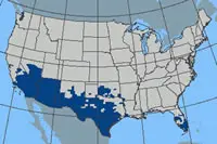 Mapa que muestra la propagación de abejas asesinas en EE. UU.