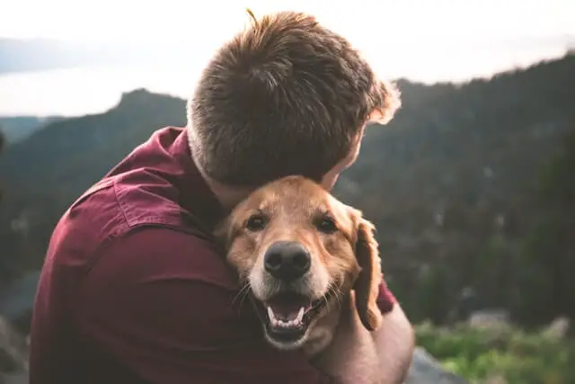 una persona abrazando a un perro