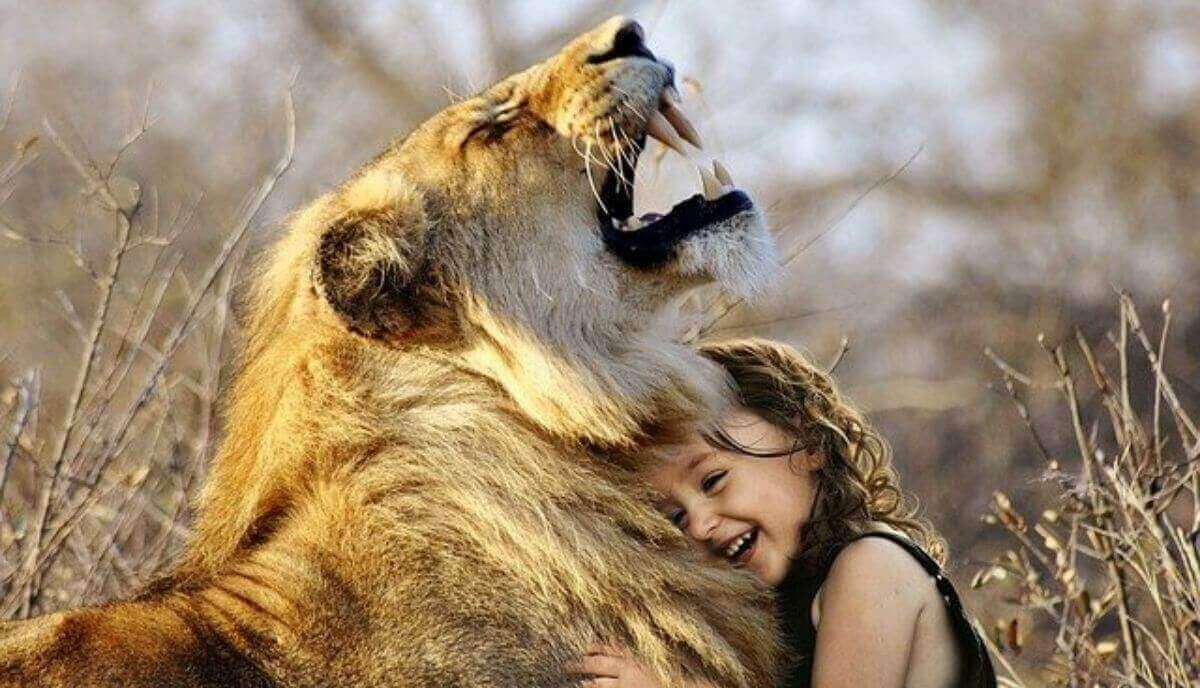 Son amistosos los leones? ¿Les temen los leones a los humanos? - Farmacia  Cinca