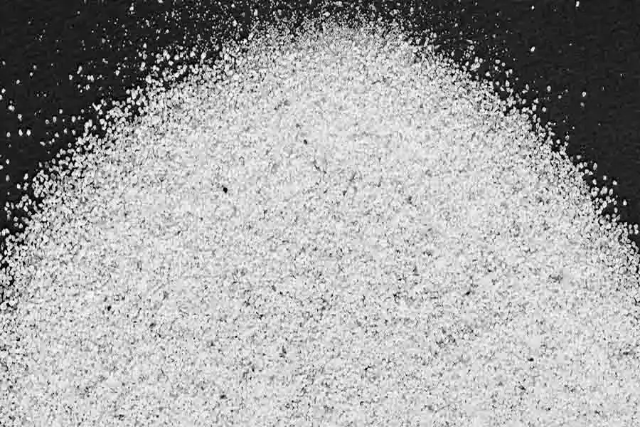¿La tierra de diatomeas mata hormigas? Deshágase de las hormigas con DE