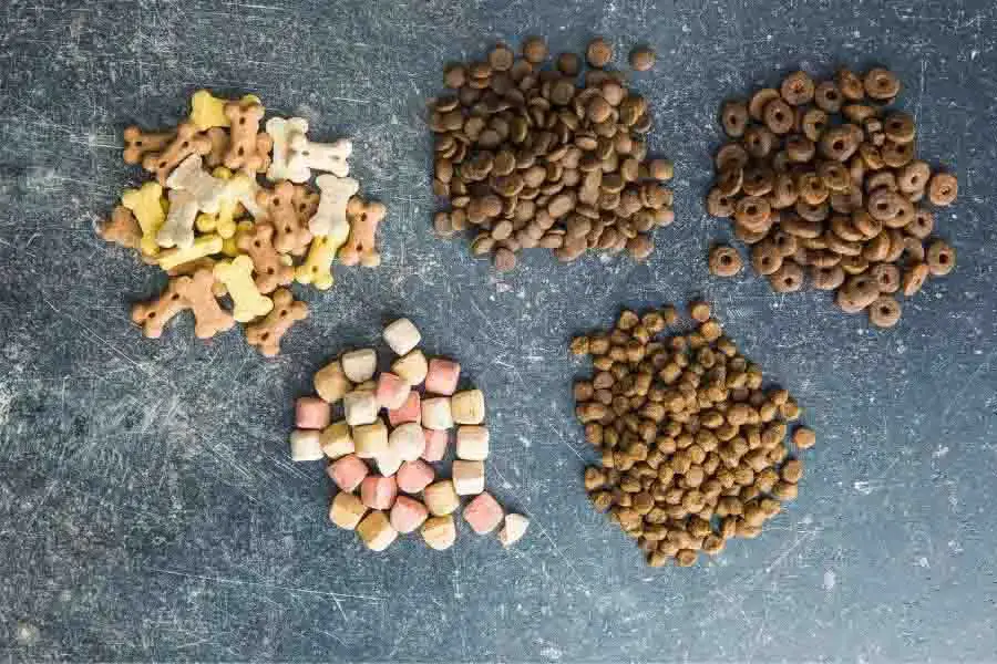 ¿Pueden los patos comer comida para perros o es malo para ellos?