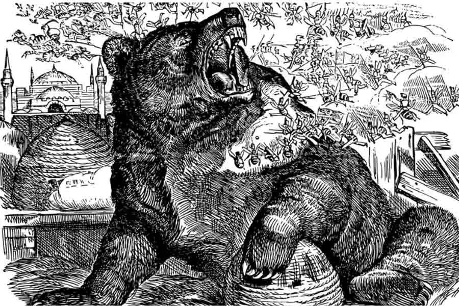 ¿Qué comen los osos? (Lista completa de la dieta de los osos)