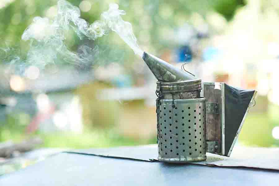 ¿Por qué los apicultores usan humo para calmar a las abejas? Cómo funciona