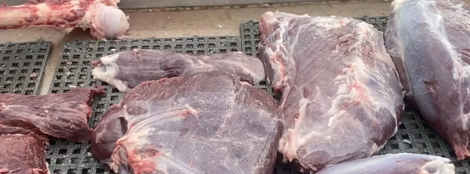 Del campo a la mesa