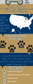 Mordeduras de perro por raza: ¿Qué perros atacan más?