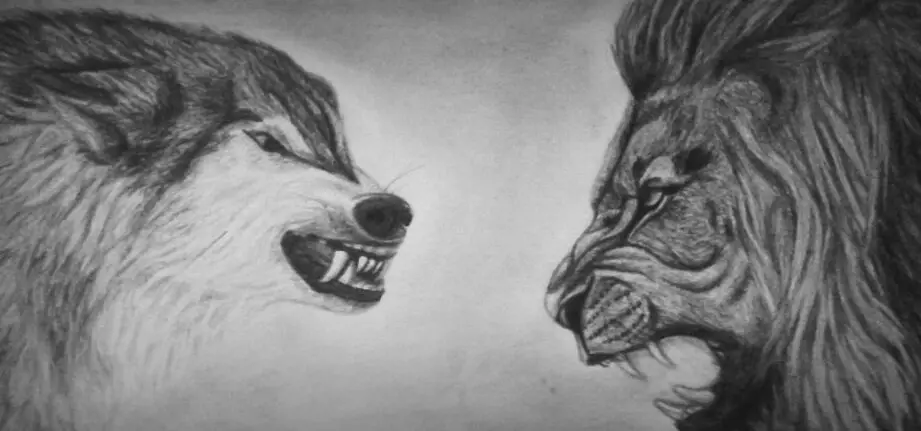 León vs Lobo: ¿Quién ganará esta pelea?