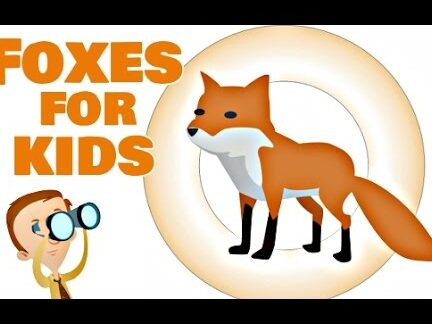 Zorros para niños